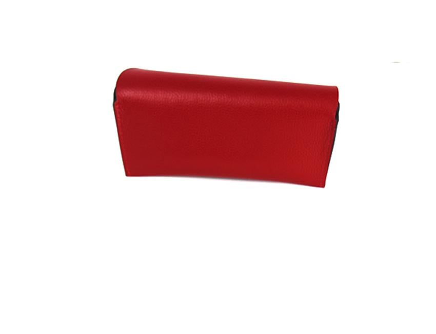 1913 BT Glasses Case